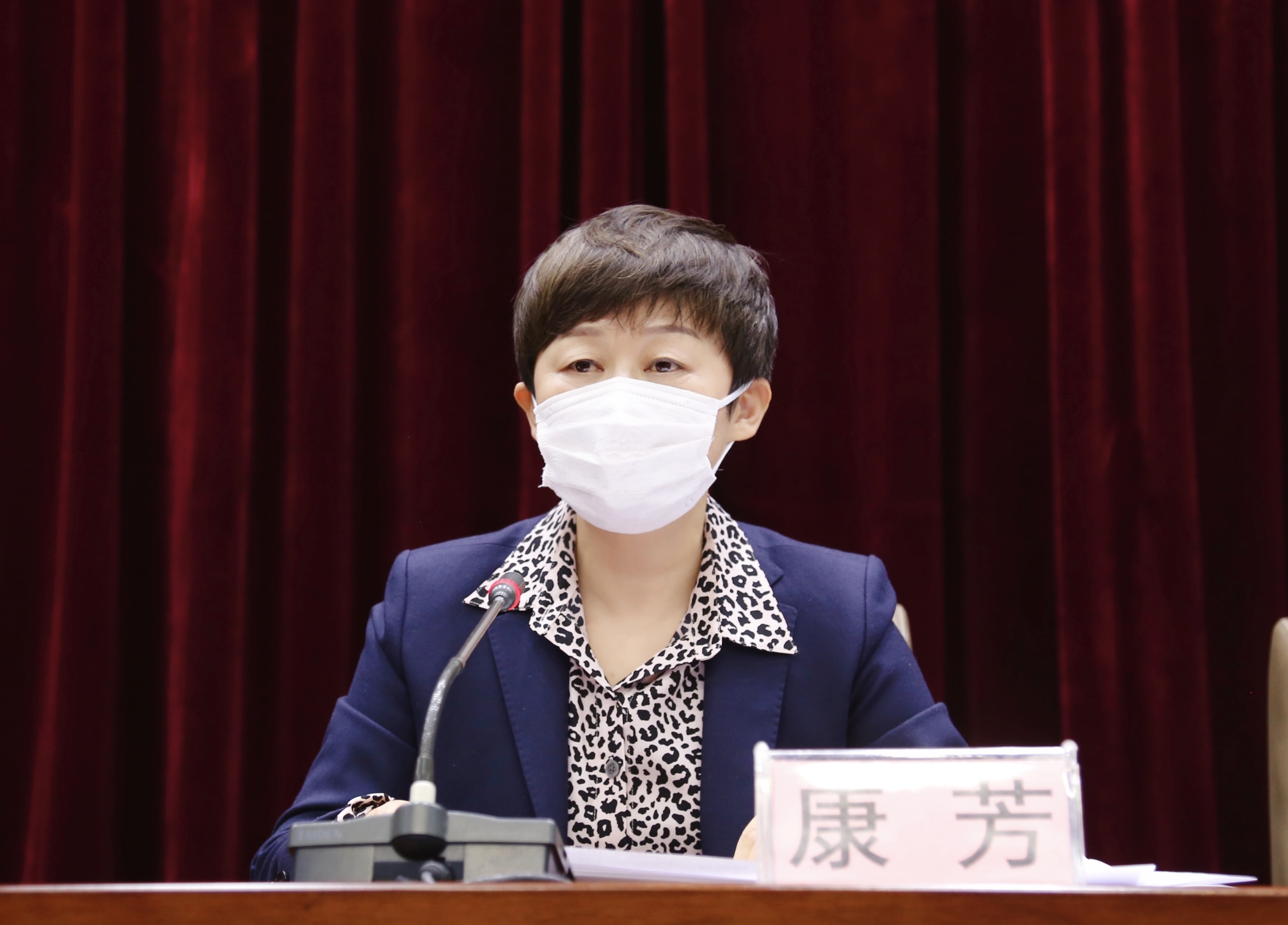州委副书记,政法委书记康芳出席会议并讲话
